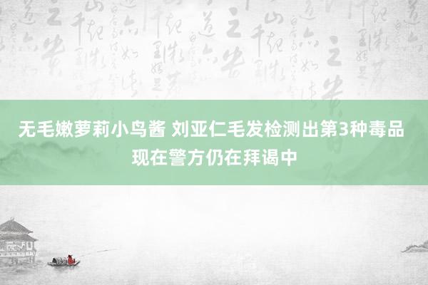无毛嫩萝莉小鸟酱 刘亚仁毛发检测出第3种毒品 现在警方仍在拜谒中