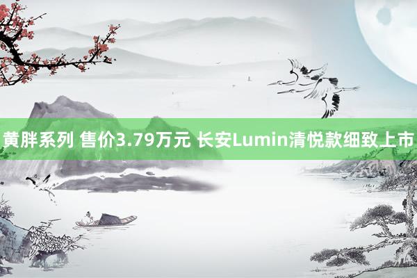 黄胖系列 售价3.79万元 长安Lumin清悦款细致上市
