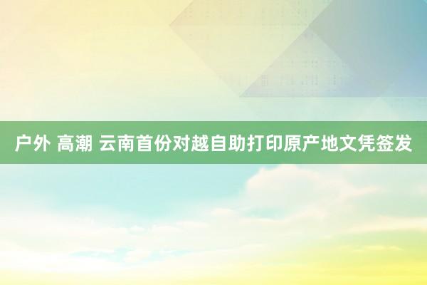 户外 高潮 云南首份对越自助打印原产地文凭签发