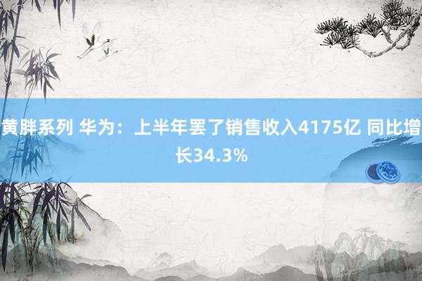黄胖系列 华为：上半年罢了销售收入4175亿 同比增长34.3%