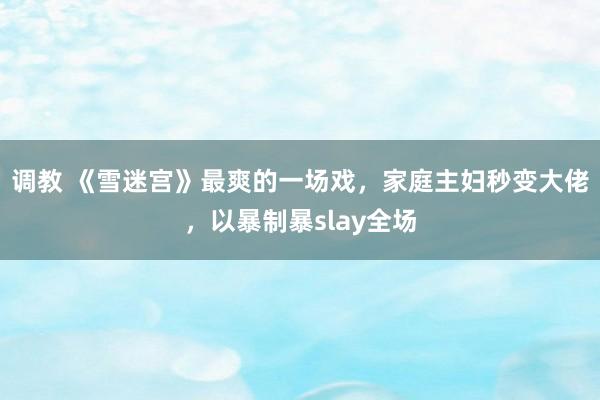 调教 《雪迷宫》最爽的一场戏，家庭主妇秒变大佬，以暴制暴slay全场