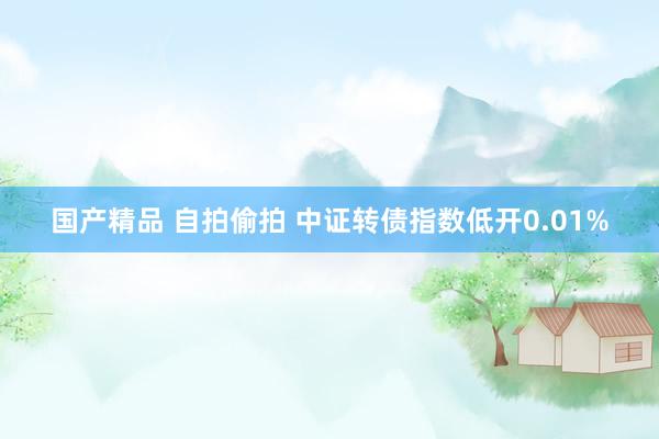 国产精品 自拍偷拍 中证转债指数低开0.01%