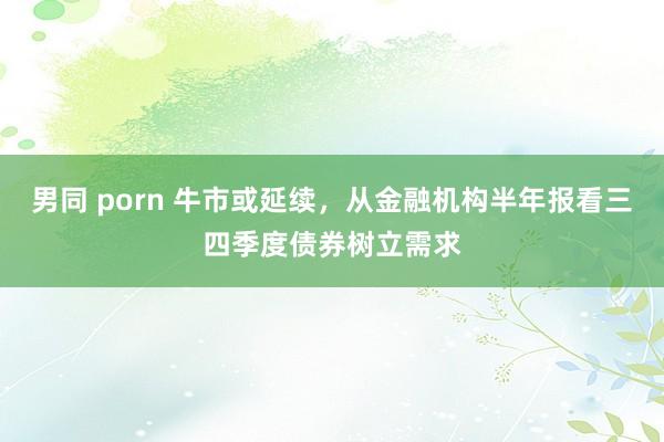 男同 porn 牛市或延续，从金融机构半年报看三四季度债券树立需求