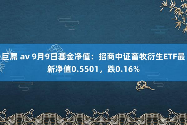 巨屌 av 9月9日基金净值：招商中证畜牧衍生ETF最新净值0.5501，跌0.16%