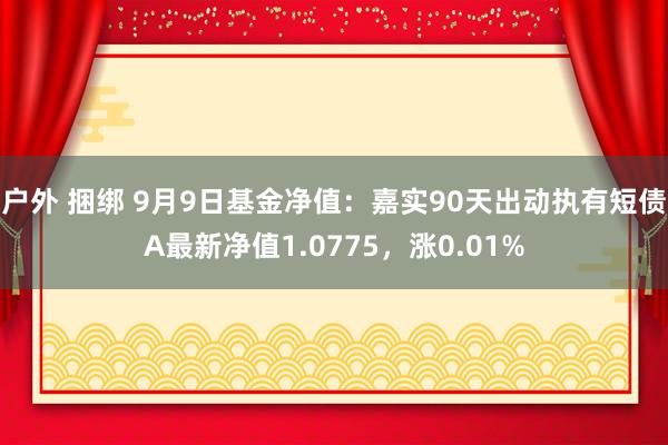 户外 捆绑 9月9日基金净值：嘉实90天出动执有短债A最新净值1.0775，涨0.01%