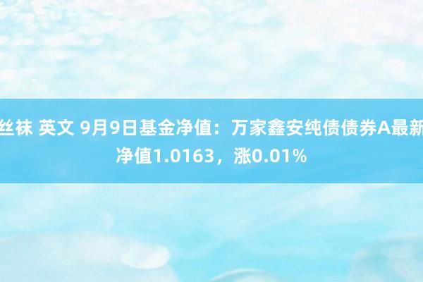 丝袜 英文 9月9日基金净值：万家鑫安纯债债券A最新净值1.0163，涨0.01%