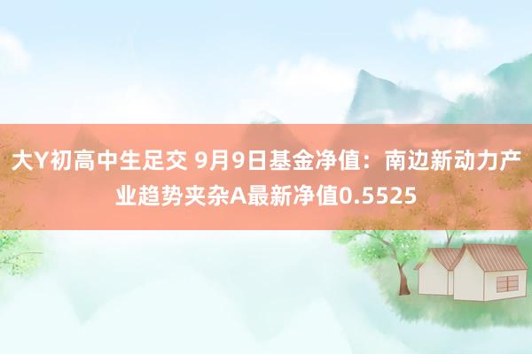大Y初高中生足交 9月9日基金净值：南边新动力产业趋势夹杂A最新净值0.5525