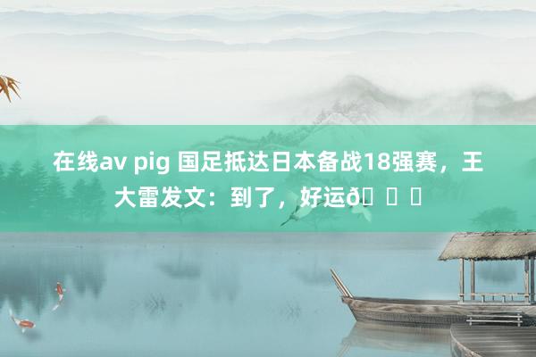 在线av pig 国足抵达日本备战18强赛，王大雷发文：到了，好运🍀