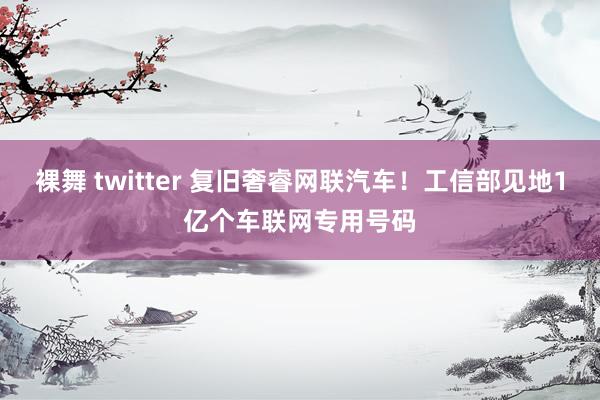 裸舞 twitter 复旧奢睿网联汽车！工信部见地1亿个车联网专用号码