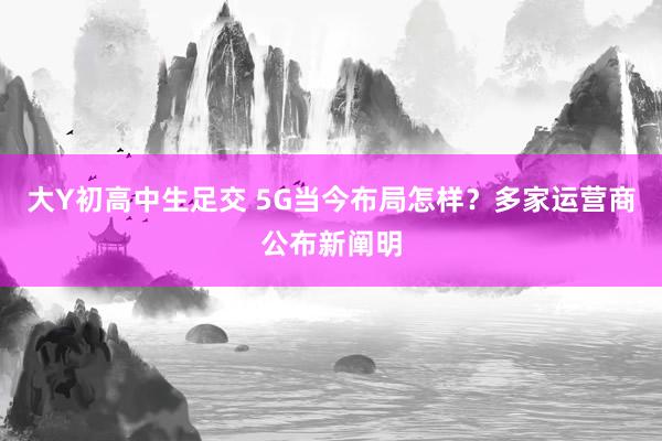 大Y初高中生足交 5G当今布局怎样？多家运营商公布新阐明