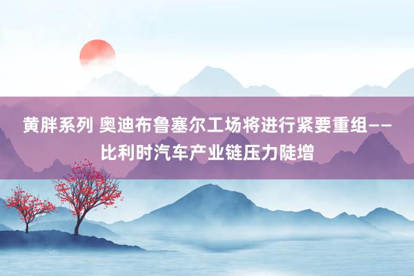 黄胖系列 奥迪布鲁塞尔工场将进行紧要重组——比利时汽车产业链压力陡增