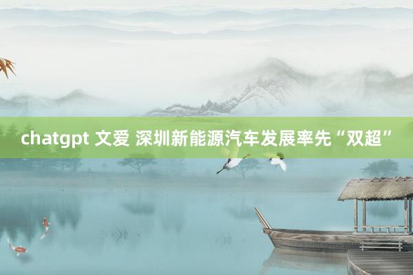 chatgpt 文爱 深圳新能源汽车发展率先“双超”