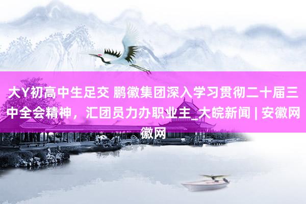 大Y初高中生足交 鹏徽集团深入学习贯彻二十届三中全会精神，汇团员力办职业主_大皖新闻 | 安徽网