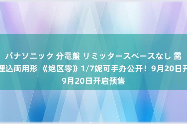 パナソニック 分電盤 リミッタースペースなし 露出・半埋込両用形 《绝区零》1/7妮可手办公开！9月20日开启预售