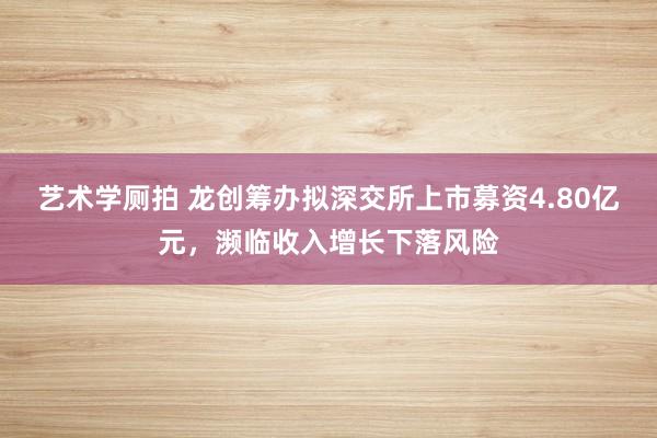 艺术学厕拍 龙创筹办拟深交所上市募资4.80亿元，濒临收入增长下落风险