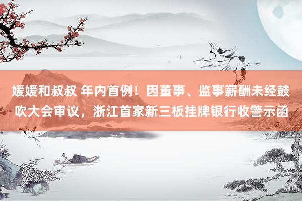 媛媛和叔叔 年内首例！因董事、监事薪酬未经鼓吹大会审议，浙江首家新三板挂牌银行收警示函