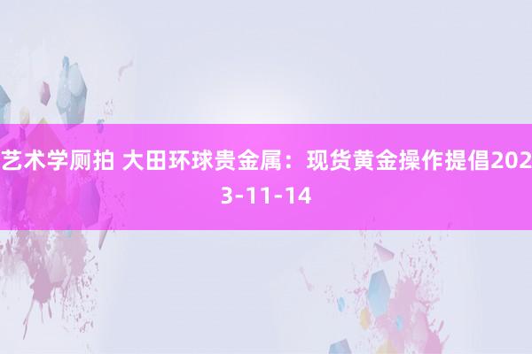 艺术学厕拍 大田环球贵金属：现货黄金操作提倡2023-11-14