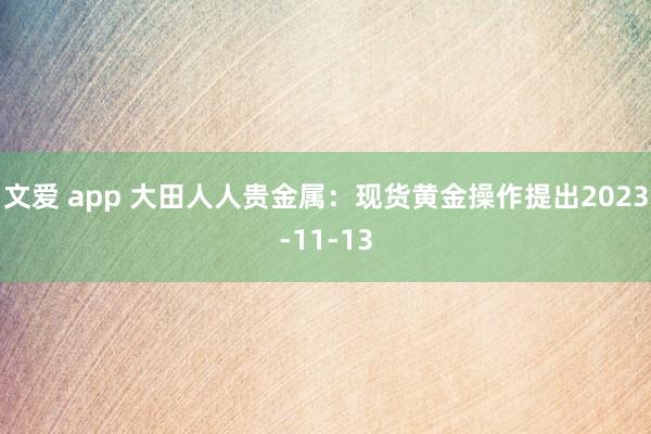 文爱 app 大田人人贵金属：现货黄金操作提出2023-11-13
