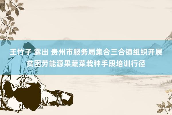 王竹子 露出 贵州市服务局集合三合镇组织开展贫困劳能源果蔬菜栽种手段培训行径