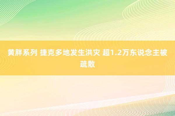 黄胖系列 捷克多地发生洪灾 超1.2万东说念主被疏散