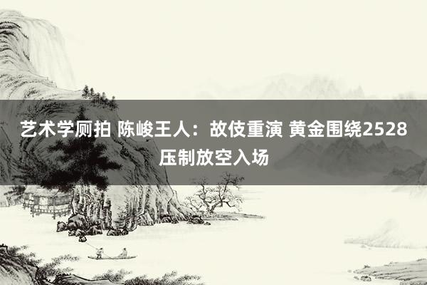 艺术学厕拍 陈峻王人：故伎重演 黄金围绕2528压制放空入场
