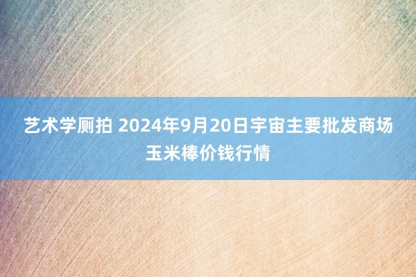 艺术学厕拍 2024年9月20日宇宙主要批发商场玉米棒价钱行情