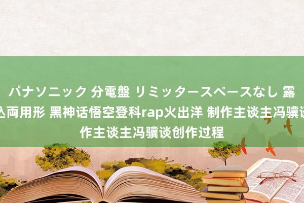 パナソニック 分電盤 リミッタースペースなし 露出・半埋込両用形 黑神话悟空登科rap火出洋 制作主谈主冯骥谈创作过程