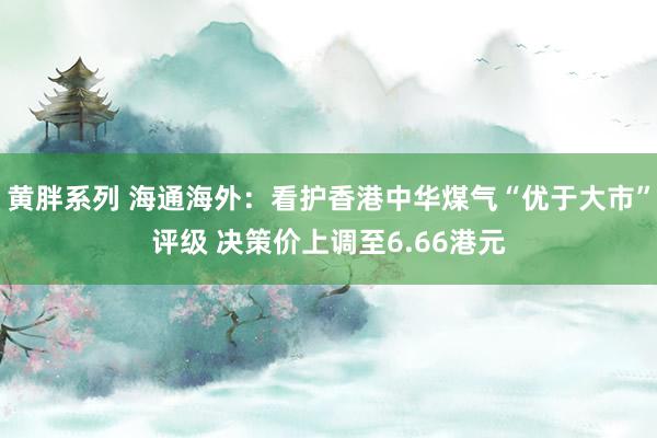 黄胖系列 海通海外：看护香港中华煤气“优于大市”评级 决策价上调至6.66港元