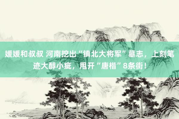 媛媛和叔叔 河南挖出“镇北大将军”墓志，上刻笔迹大醇小疵，甩开“唐楷”8条街！