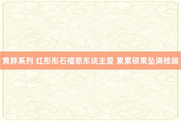 黄胖系列 红彤彤石榴惹东谈主爱 累累硕果坠满枝端