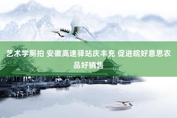艺术学厕拍 安徽高速驿站庆丰充 促进皖好意思农品好销售