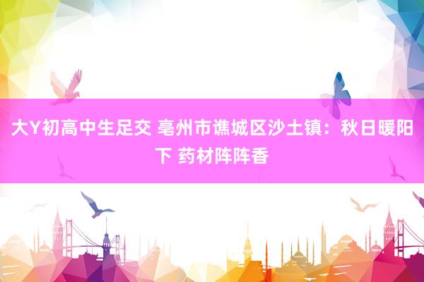 大Y初高中生足交 亳州市谯城区沙土镇：秋日暖阳下 药材阵阵香
