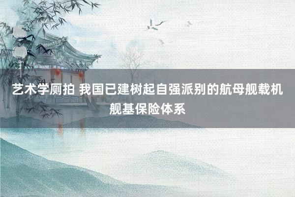 艺术学厕拍 我国已建树起自强派别的航母舰载机舰基保险体系