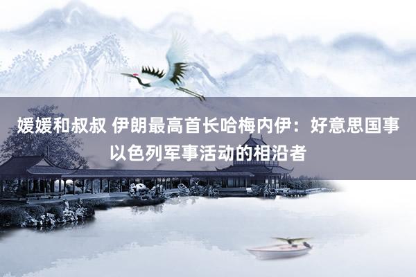 媛媛和叔叔 伊朗最高首长哈梅内伊：好意思国事以色列军事活动的相沿者