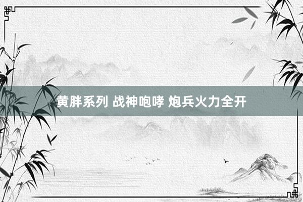黄胖系列 战神咆哮 炮兵火力全开
