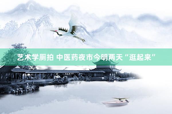 艺术学厕拍 中医药夜市今明两天“逛起来”