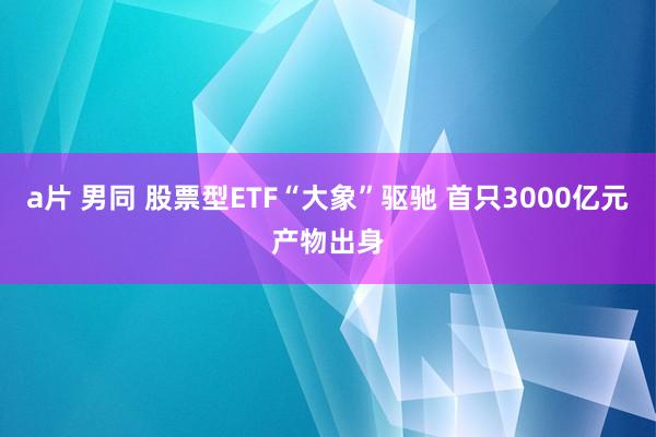 a片 男同 股票型ETF“大象”驱驰 首只3000亿元产物出身