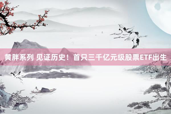 黄胖系列 见证历史！首只三千亿元级股票ETF出生