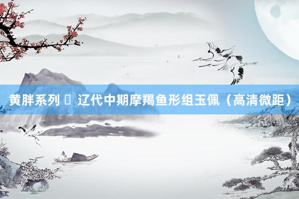 黄胖系列 ​辽代中期摩羯鱼形组玉佩（高清微距）