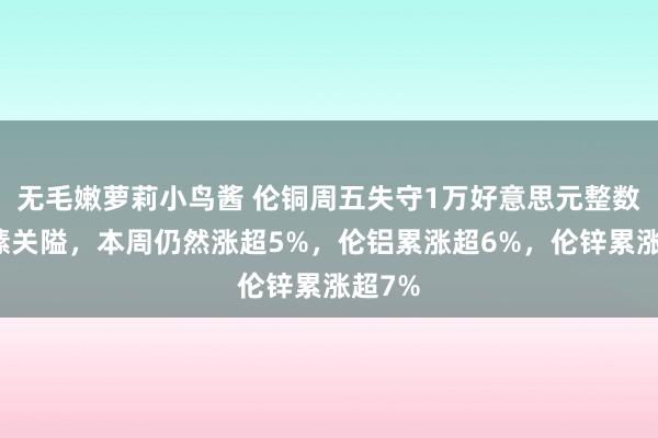 无毛嫩萝莉小鸟酱 伦铜周五失守1万好意思元整数位情愫关隘，本周仍然涨超5%，伦铝累涨超6%，伦锌累涨超7%
