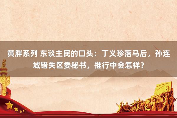 黄胖系列 东谈主民的口头：丁义珍落马后，孙连城错失区委秘书，推行中会怎样？