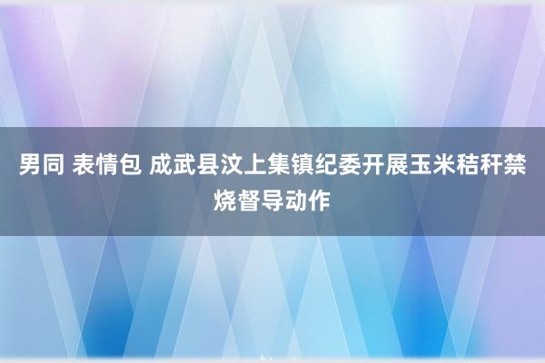 男同 表情包 成武县汶上集镇纪委开展玉米秸秆禁烧督导动作