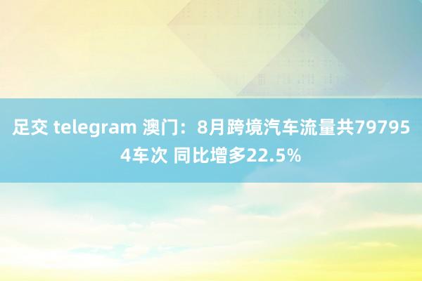 足交 telegram 澳门：8月跨境汽车流量共797954车次 同比增多22.5%