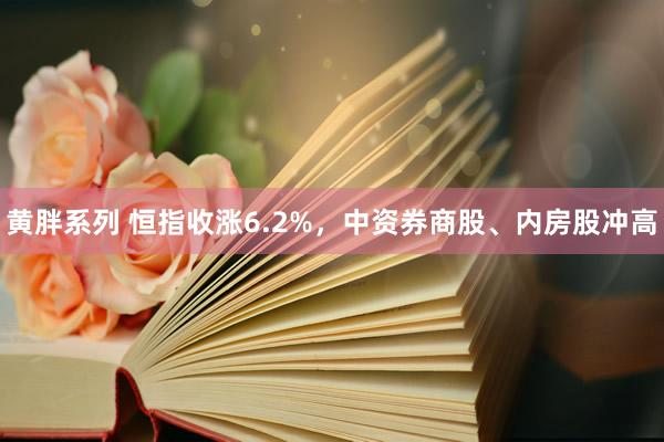 黄胖系列 恒指收涨6.2%，中资券商股、内房股冲高