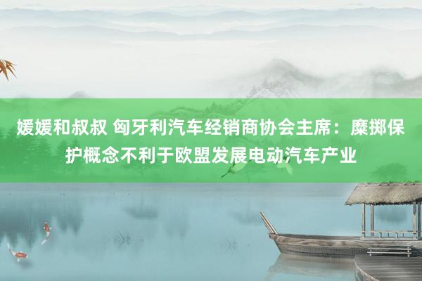 媛媛和叔叔 匈牙利汽车经销商协会主席：糜掷保护概念不利于欧盟发展电动汽车产业