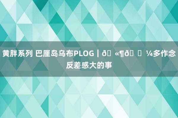 黄胖系列 巴厘岛乌布PLOG｜🫶🏼多作念反差感大的事
