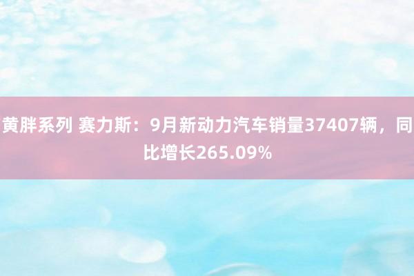 黄胖系列 赛力斯：9月新动力汽车销量37407辆，同比增长265.09%