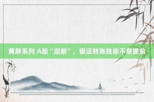 黄胖系列 A股“迎新”，银证转账技能不息提前