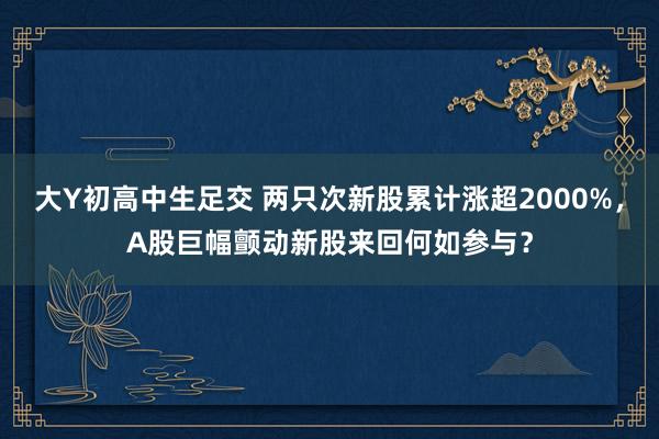 大Y初高中生足交 两只次新股累计涨超2000%，A股巨幅颤动新股来回何如参与？