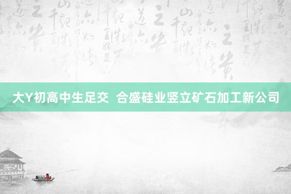 大Y初高中生足交  合盛硅业竖立矿石加工新公司